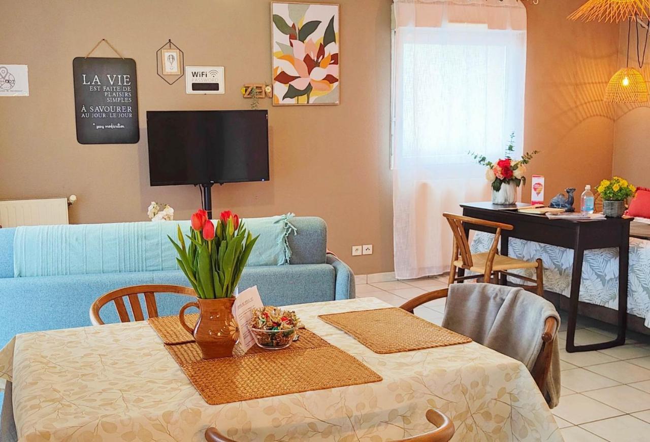 Studio 007 Les Terrasses De Californie Apartment Annonay Ngoại thất bức ảnh